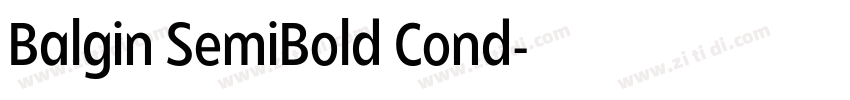 Balgin SemiBold Cond字体转换 Balgin SemiBold Cond字体转换